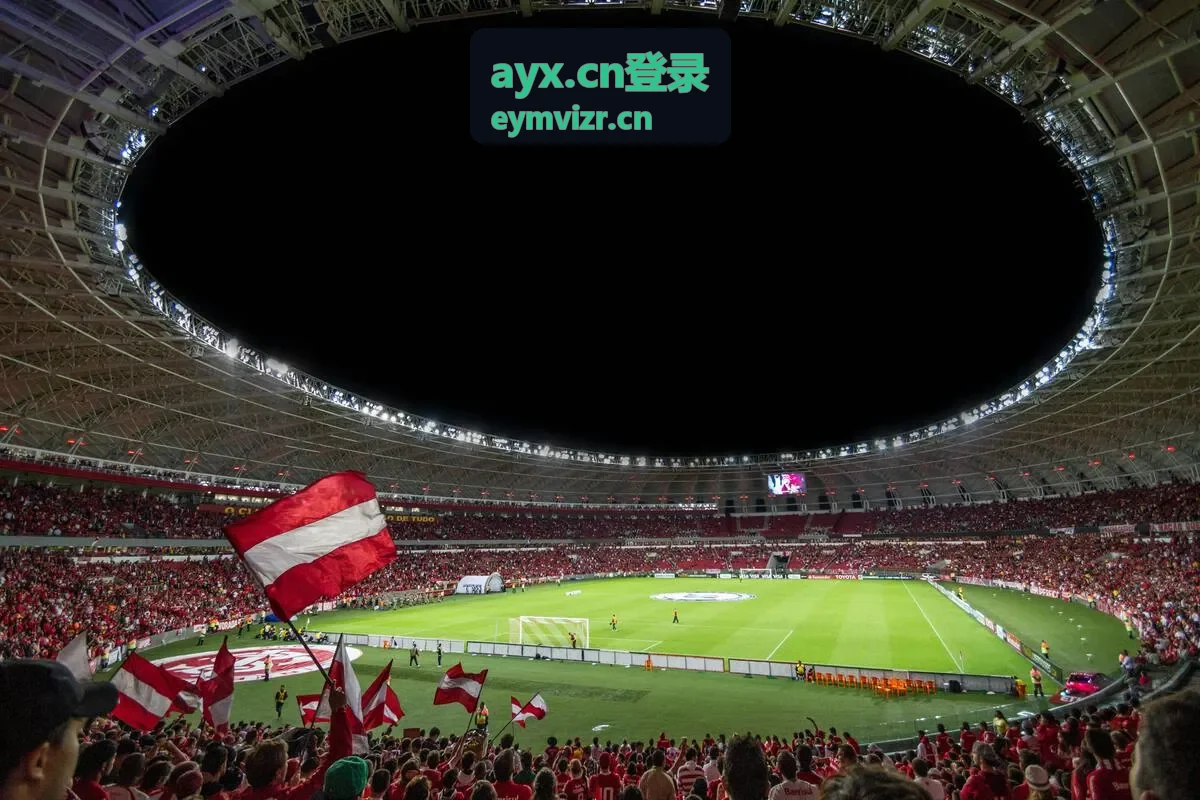 AYX 登录公共设备使用后退出账号的步骤